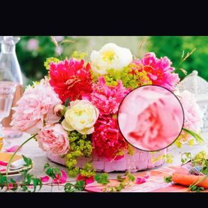 Meet your Posher, Ana